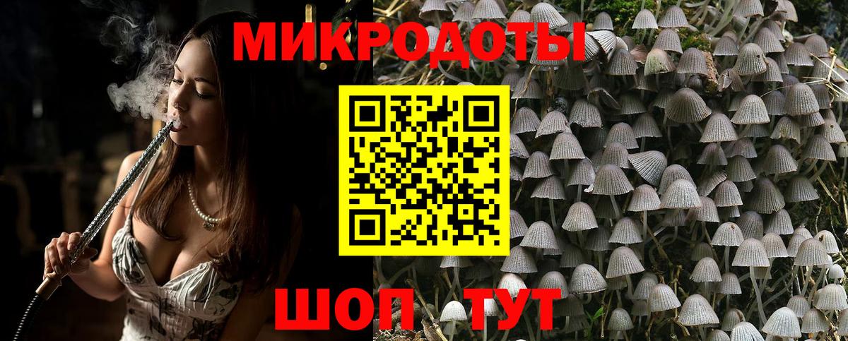 Галлюциногенные грибы мухоморы Петропавловск-Камчатский
